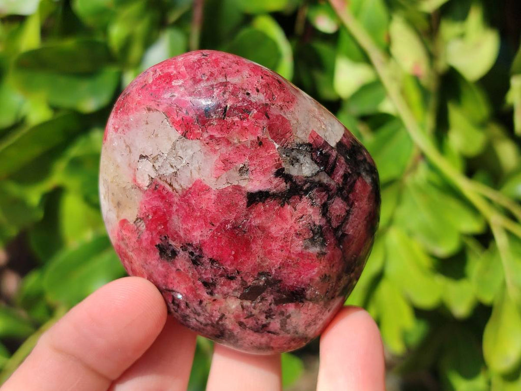 Polished Rhodonite Free Form x 1 Standing Free Form x 4 From Rhusinga, Zimbabwe - Toprock Gemstones and Minerals 