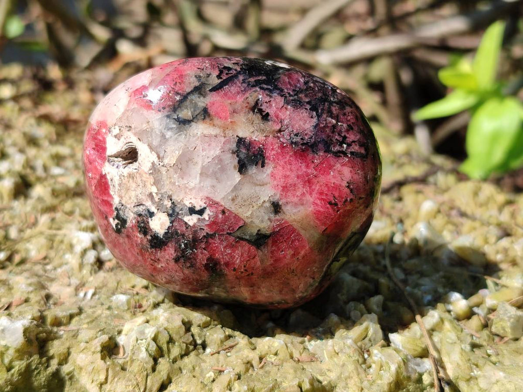 Polished Rhodonite Free Form x 1 Standing Free Form x 4 From Rhusinga, Zimbabwe - Toprock Gemstones and Minerals 
