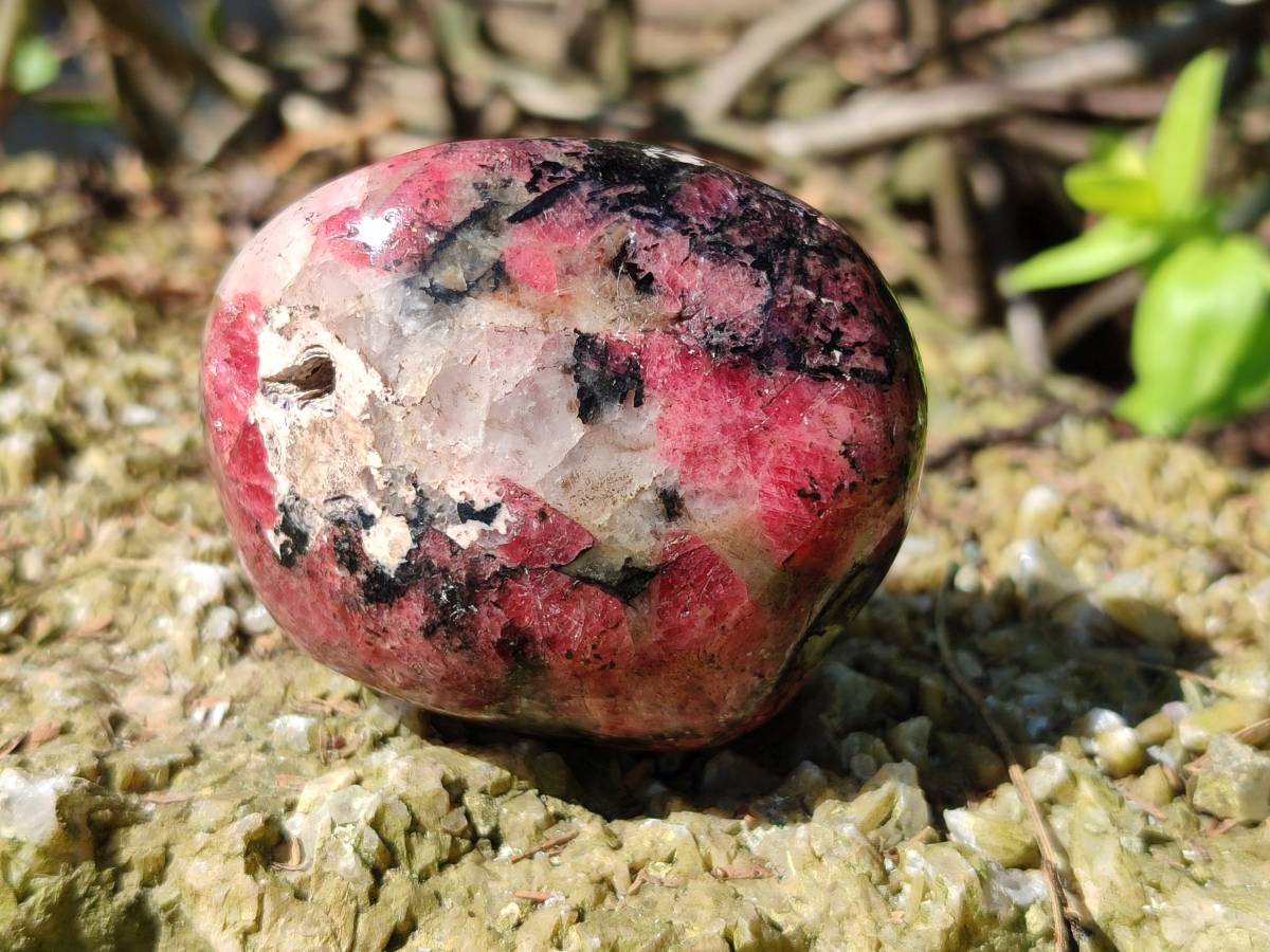Polished Rhodonite Free Form x 1 Standing Free Form x 4 From Rhusinga, Zimbabwe - Toprock Gemstones and Minerals 