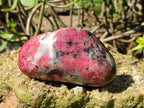 Polished Rhodonite Free Form x 1 Standing Free Form x 4 From Rhusinga, Zimbabwe - Toprock Gemstones and Minerals 