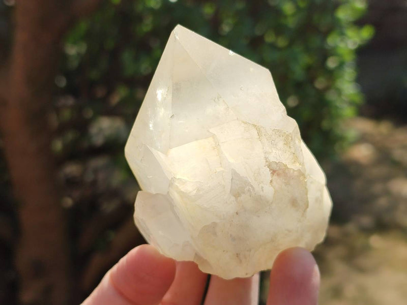 Natural Quartz Crystals x 12 From Madagascar - Toprock Gemstones and Minerals 