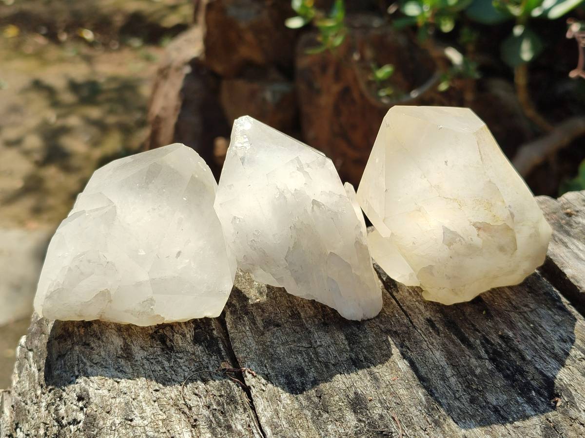 Natural Quartz Crystals x 12 From Madagascar - Toprock Gemstones and Minerals 