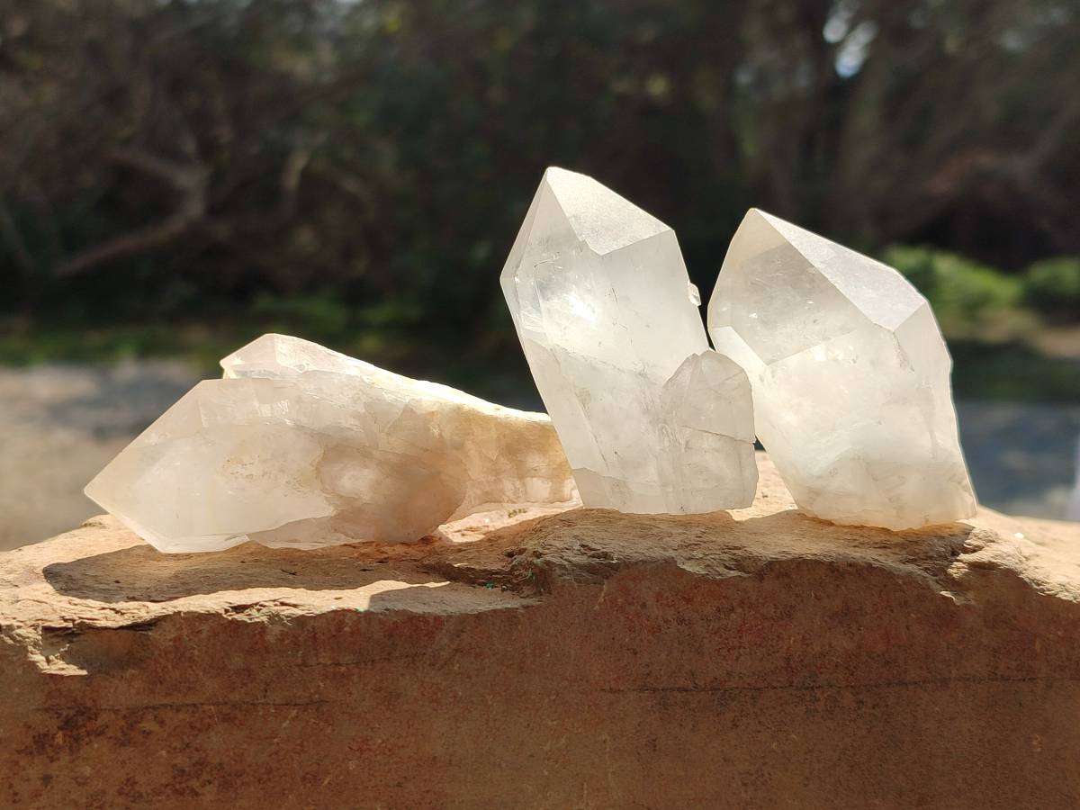 Natural Quartz Crystals x 12 From Madagascar - Toprock Gemstones and Minerals 