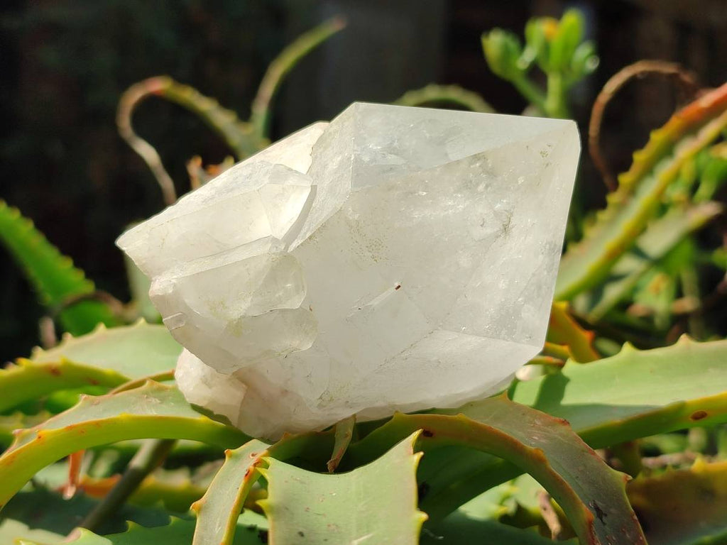 Natural Quartz Crystals x 12 From Madagascar - Toprock Gemstones and Minerals 