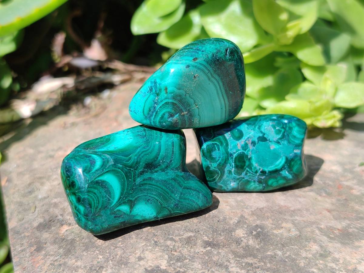 Polished Flower Banded Malachite Free Forms x 35 From Congo - Toprock Gemstones and Minerals 