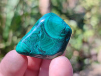 Polished Flower Banded Malachite Free Forms x 35 From Congo