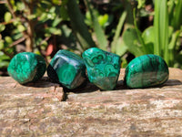 Polished Flower Banded Malachite Free Forms x 35 From Congo