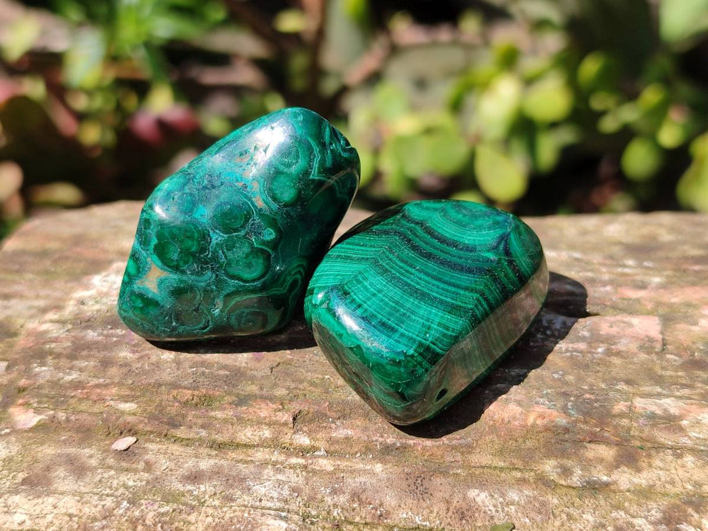 Polished Flower Banded Malachite Free Forms x 35 From Congo - Toprock Gemstones and Minerals 