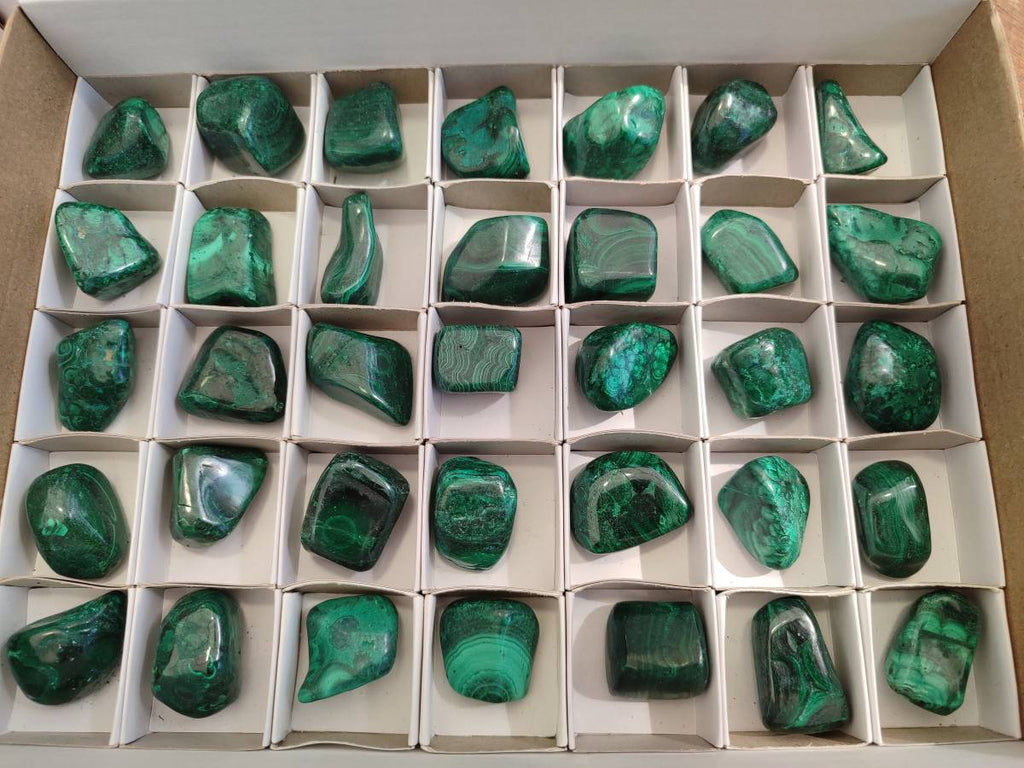 Polished Flower Banded Malachite Free Forms x 35 From Congo - Toprock Gemstones and Minerals 