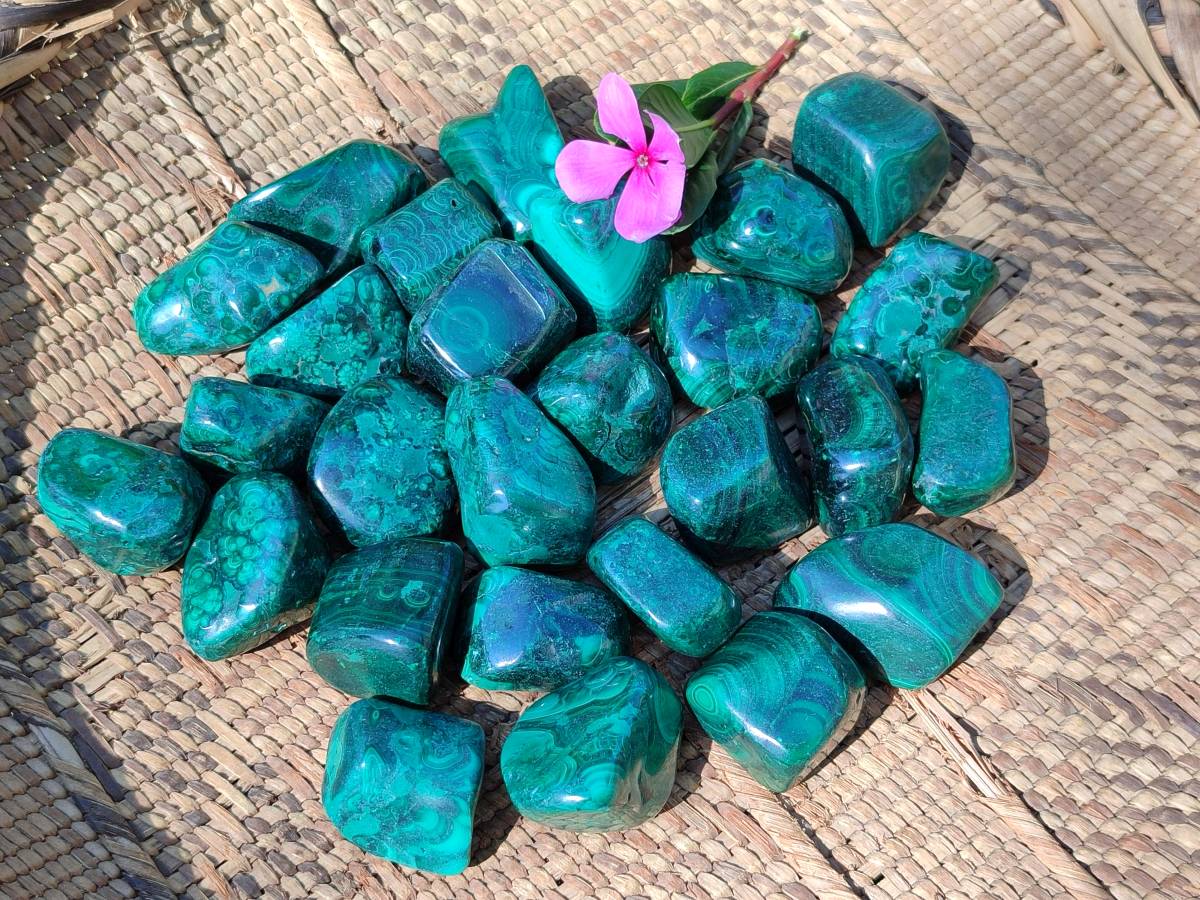 Polished Flower Banded Malachite Free Forms x 35 From Congo - Toprock Gemstones and Minerals 
