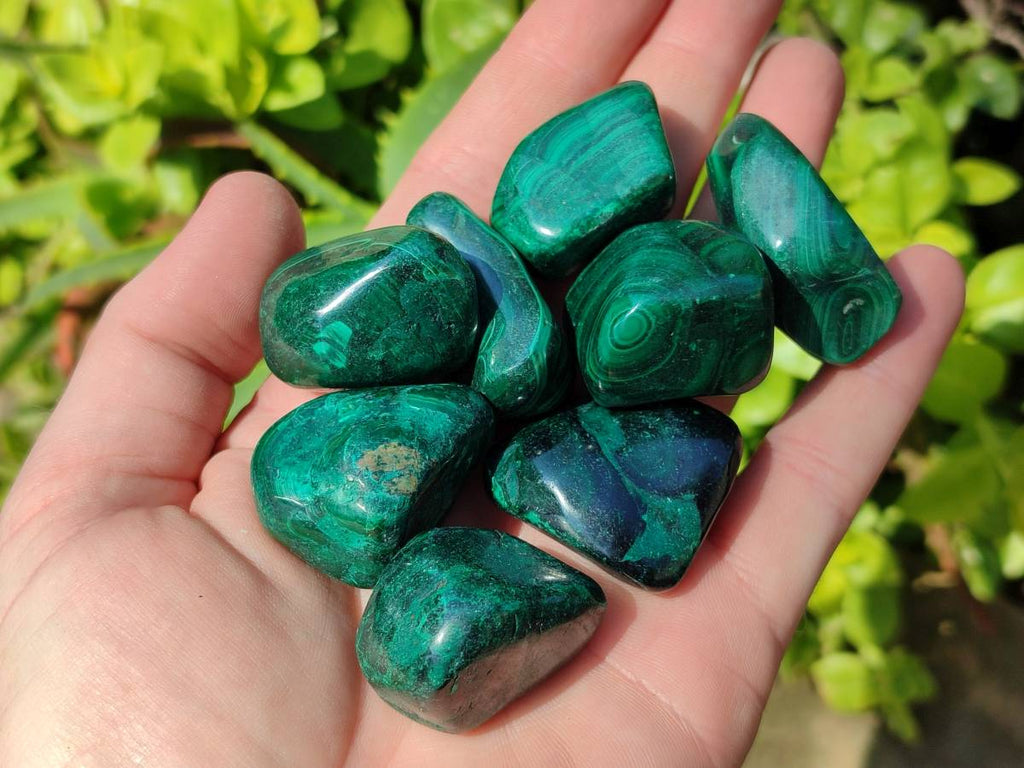 Polished Flower Banded Malachite Free Forms x 35 From Congo - Toprock Gemstones and Minerals 