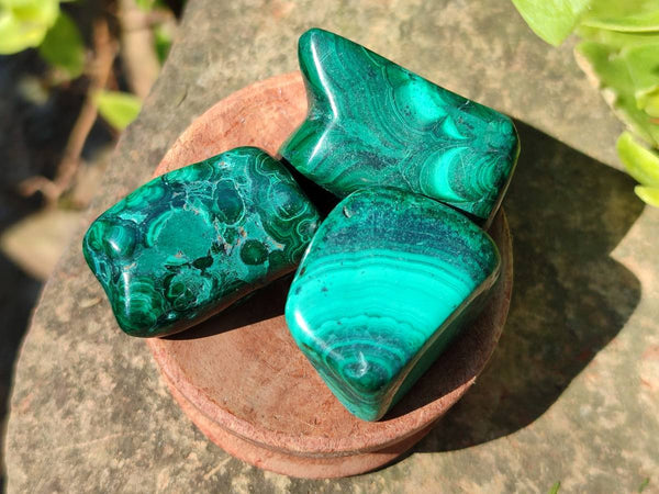 Polished Flower Banded Malachite Free Forms x 35 From Congo