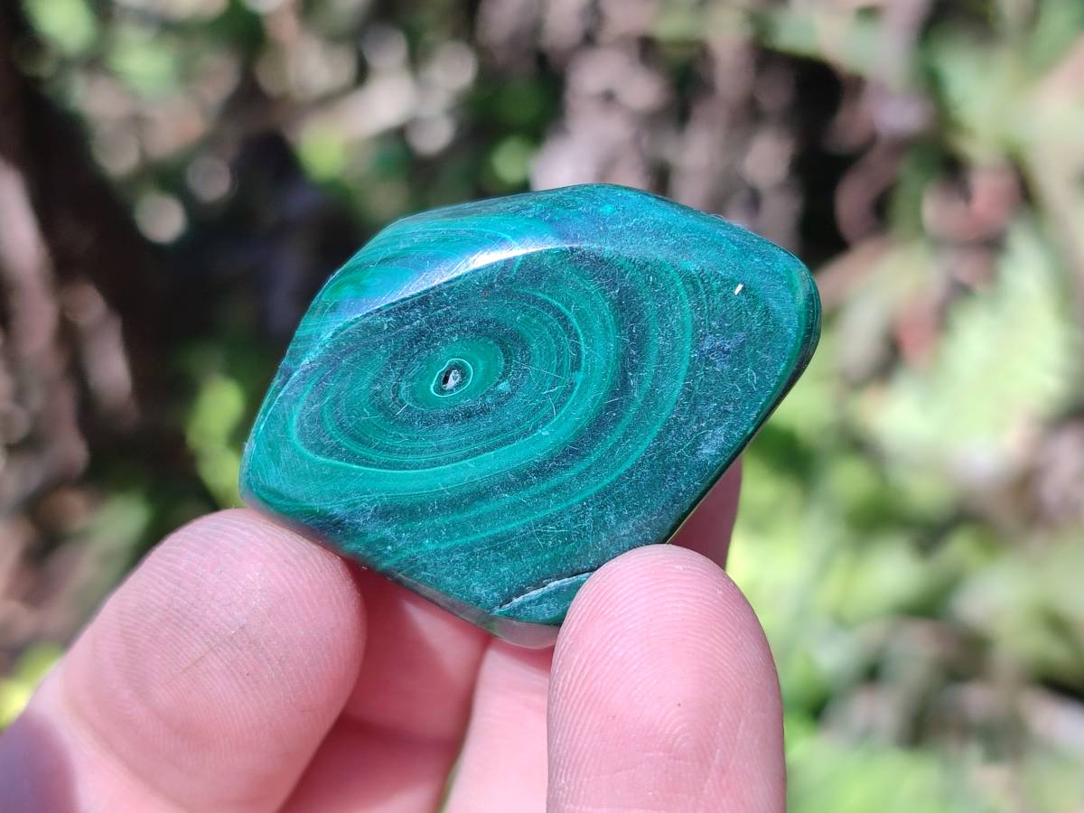 Polished Flower Banded Malachite Free Forms x 35 From Congo - Toprock Gemstones and Minerals 