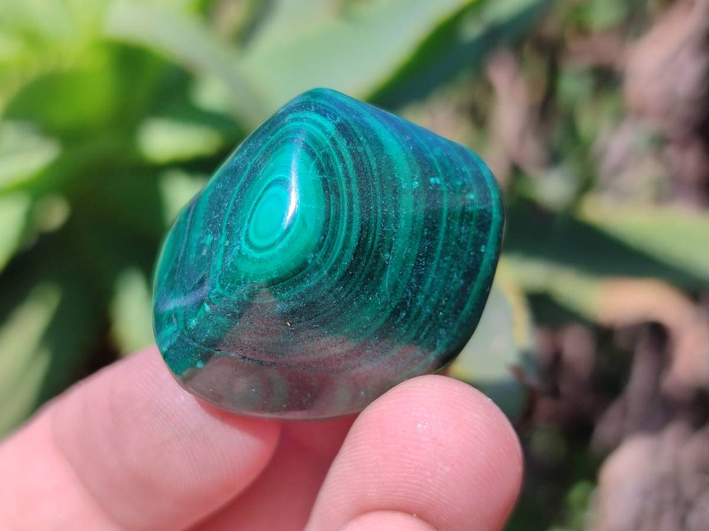 Polished Flower Banded Malachite Free Forms x 35 From Congo - Toprock Gemstones and Minerals 