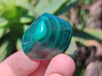 Polished Flower Banded Malachite Free Forms x 35 From Congo