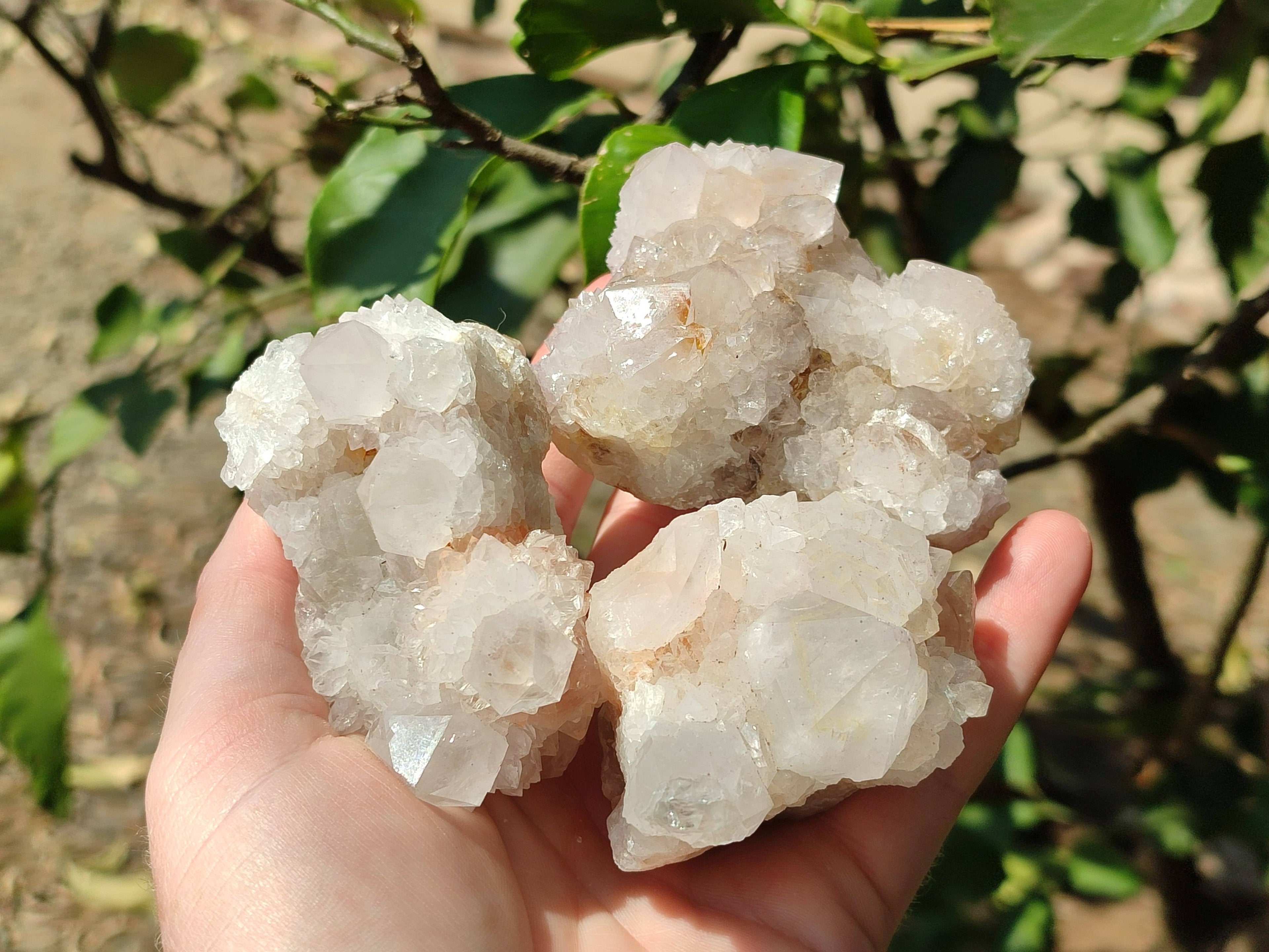 Natural White Spirit Quartz Clusters x 6 From Boekenhouthoek, South Africa - Toprock Gemstones and Minerals 