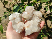 Natural White Spirit Quartz Clusters x 6 From Boekenhouthoek, South Africa