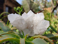 Natural White Spirit Quartz Clusters x 6 From Boekenhouthoek, South Africa