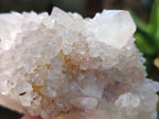 Natural White Spirit Quartz Clusters x 6 From Boekenhouthoek, South Africa - Toprock Gemstones and Minerals 