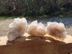 Natural White Spirit Quartz Clusters x 6 From Boekenhouthoek, South Africa - Toprock Gemstones and Minerals 