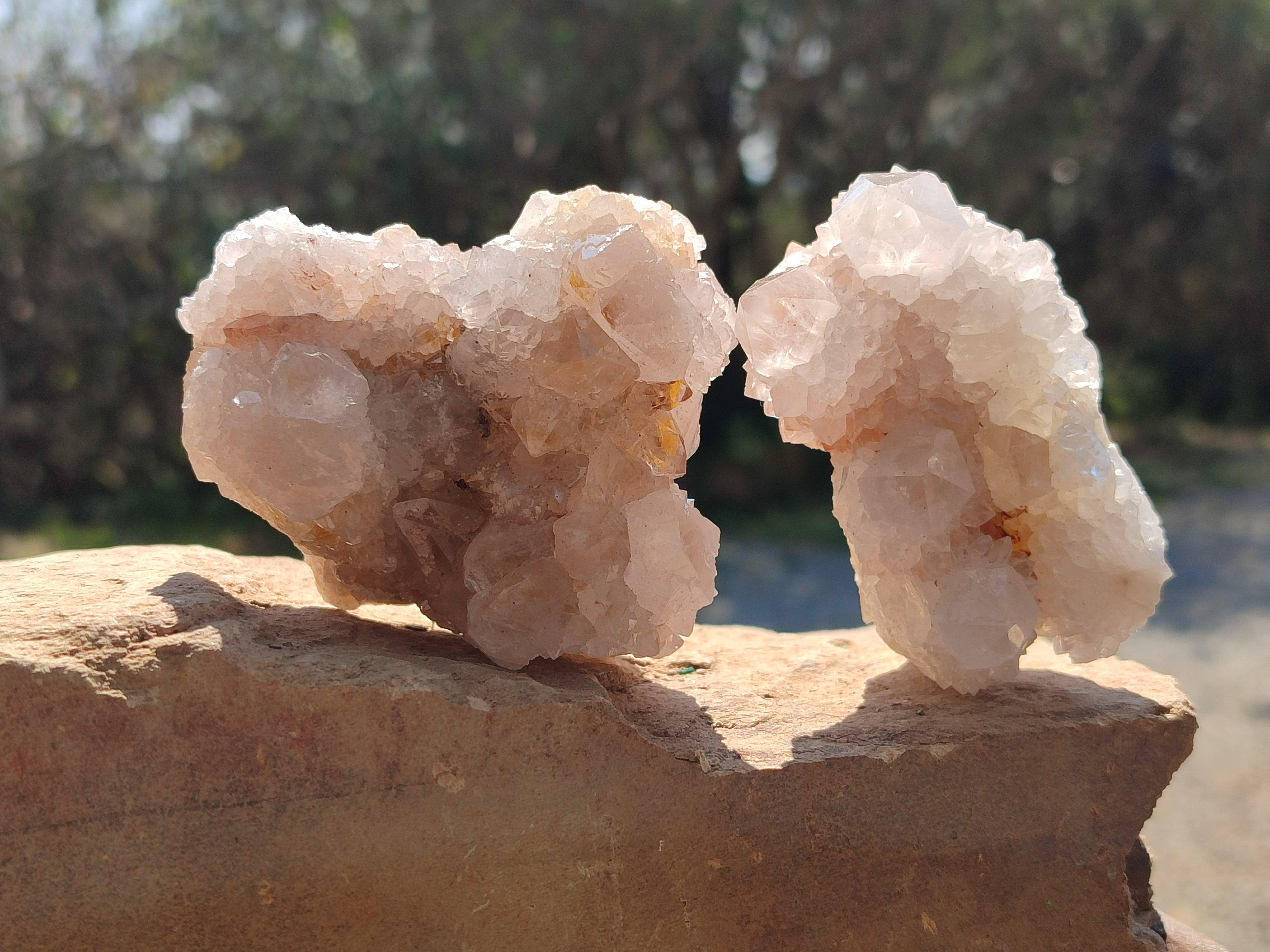 Natural White Spirit Quartz Clusters x 6 From Boekenhouthoek, South Africa - Toprock Gemstones and Minerals 