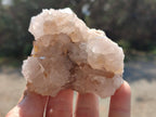 Natural White Spirit Quartz Clusters x 6 From Boekenhouthoek, South Africa - Toprock Gemstones and Minerals 