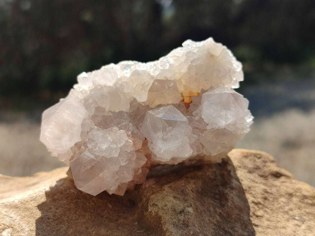 Natural White Spirit Quartz Clusters x 6 From Boekenhouthoek, South Africa - Toprock Gemstones and Minerals 