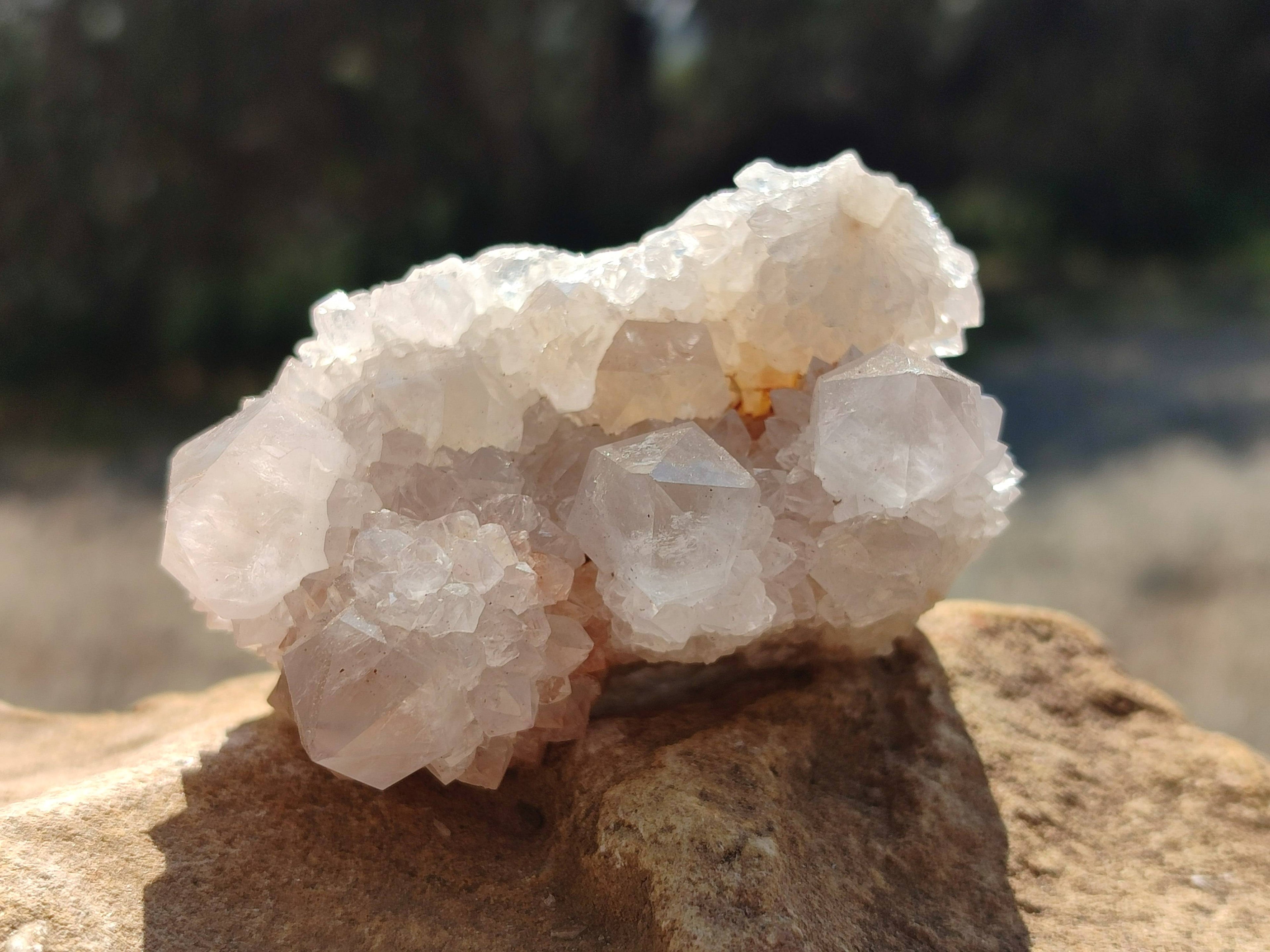 Natural White Spirit Quartz Clusters x 6 From Boekenhouthoek, South Africa - Toprock Gemstones and Minerals 