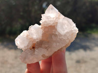 Natural White Spirit Quartz Clusters x 6 From Boekenhouthoek, South Africa