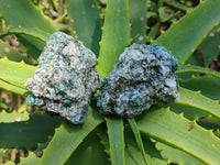 Natural Emerald Mica 'Mutokolite' Cobbed Specimens x 24 From Mutoko, Zimbabwe