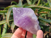 Natural Jacaranda Amethyst Quartz Crystals x 6 From Mumbwa, Zambia