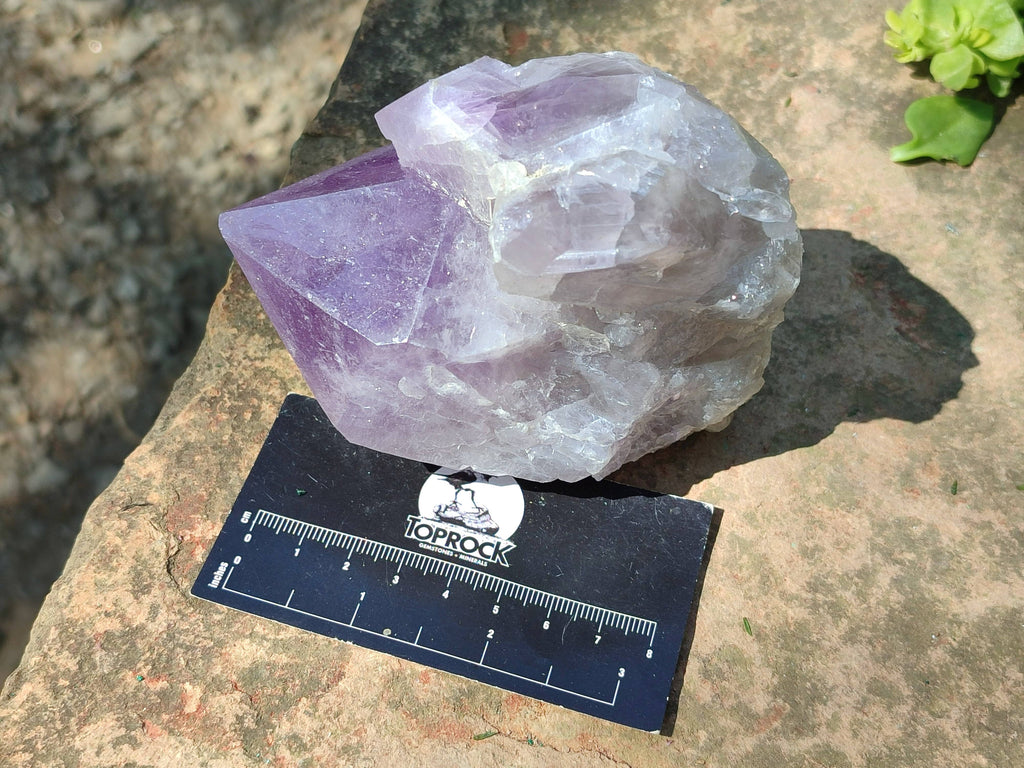 Natural Jacaranda Amethyst Quartz Crystals x 6 From Mumbwa, Zambia - Toprock Gemstones and Minerals 