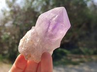 Natural Jacaranda Amethyst Quartz Crystals x 6 From Mumbwa, Zambia