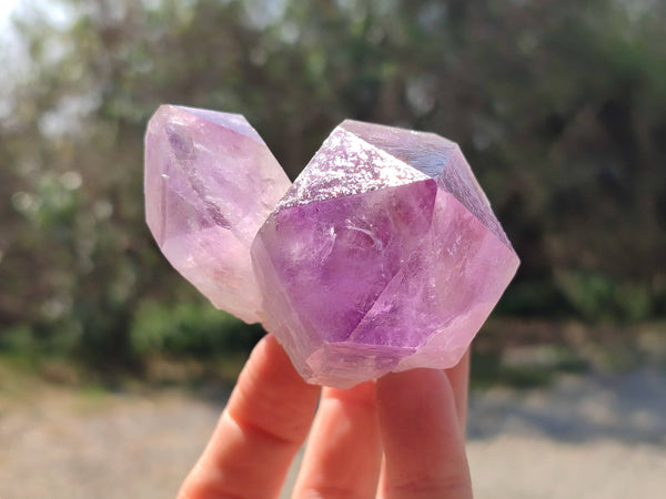 Natural Jacaranda Amethyst Quartz Crystals x 6 From Mumbwa, Zambia