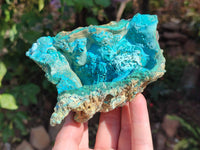 Natural Silica Chrysocolla Specimens x 5 From Namibia