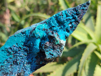 Natural Silica Chrysocolla Specimens x 5 From Namibia