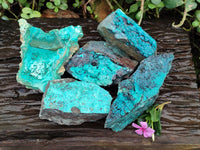 Natural Silica Chrysocolla Specimens x 5 From Namibia