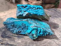 Natural Silica Chrysocolla Specimens x 5 From Namibia