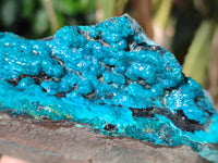 Natural Silica Chrysocolla Specimens x 5 From Namibia