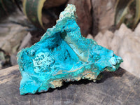 Natural Silica Chrysocolla Specimens x 5 From Namibia