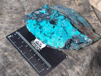 Natural Silica Chrysocolla Specimens x 5 From Namibia