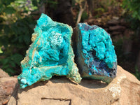 Natural Silica Chrysocolla Specimens x 5 From Namibia