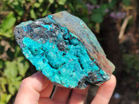 Natural Silica Chrysocolla Specimens x 5 From Namibia