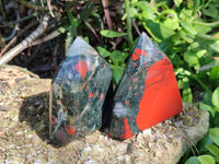 Polished Bloodstone Points x 3 From Swaziland
