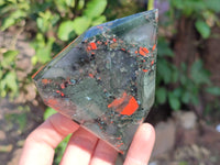 Polished Bloodstone Points x 3 From Swaziland