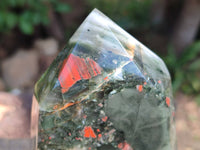Polished Bloodstone Points x 3 From Swaziland