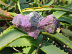 Natural Cobbed Stichtite Specimens x 1 Lot From Barberton, South Africa - Toprock Gemstones and Minerals 