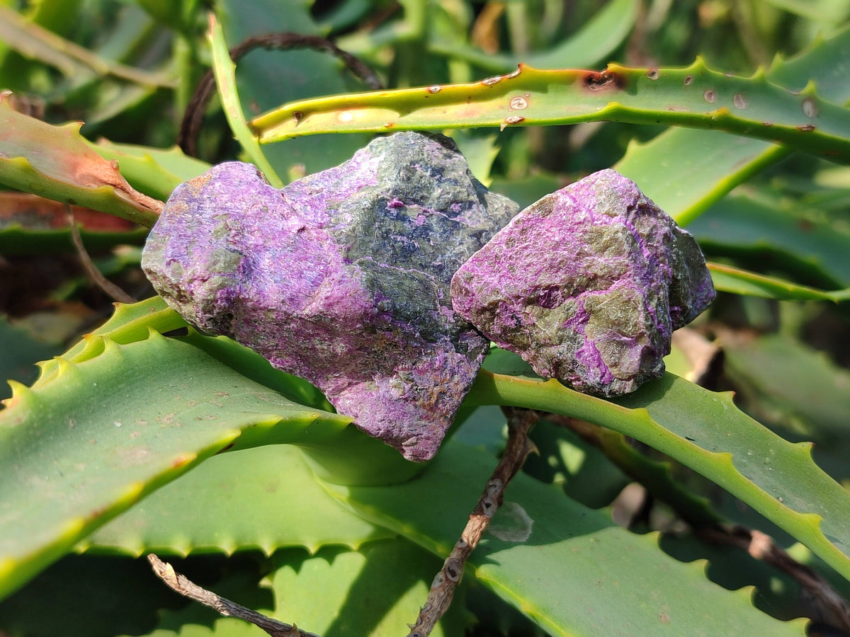 Natural Cobbed Stichtite Specimens x 1 Lot From Barberton, South Africa - Toprock Gemstones and Minerals 