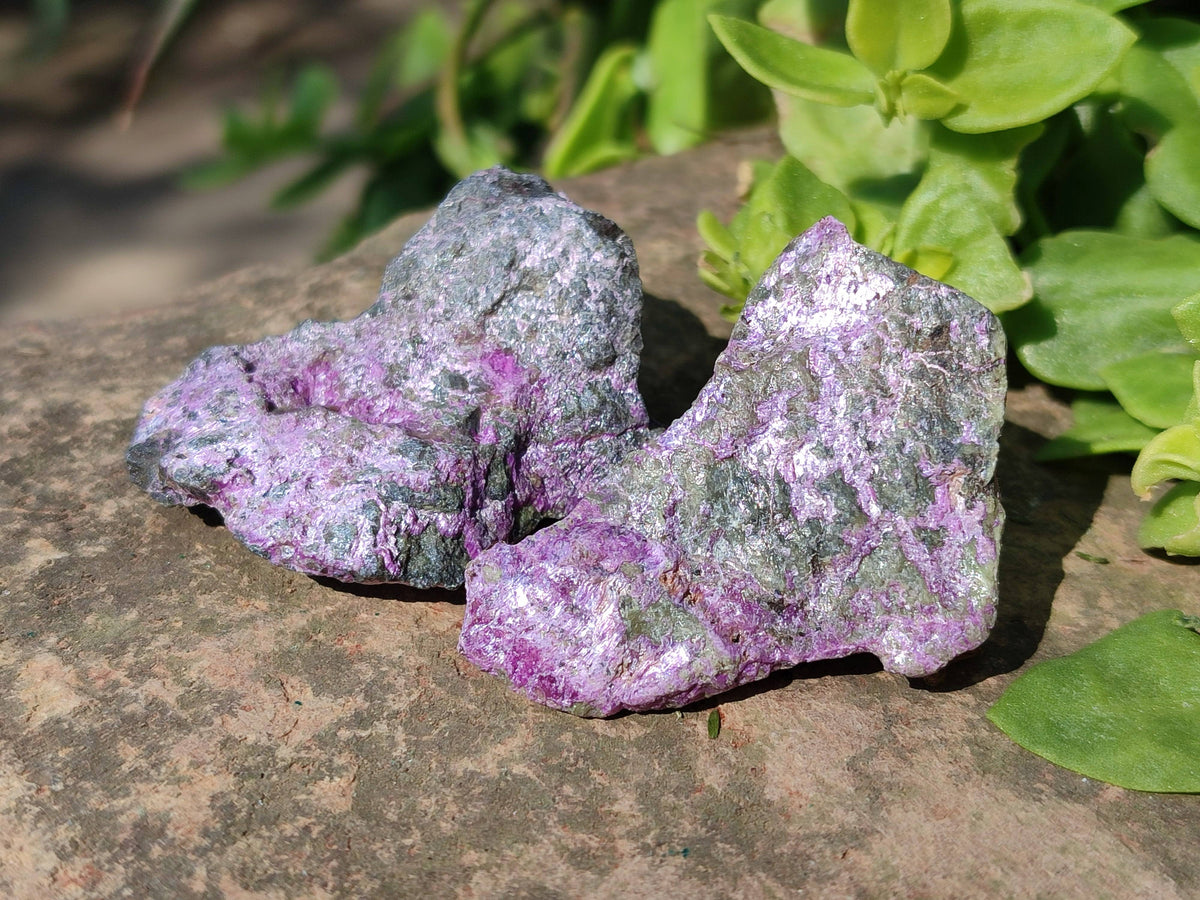 Natural Cobbed Stichtite Specimens x 1 Lot From Barberton, South Africa - Toprock Gemstones and Minerals 