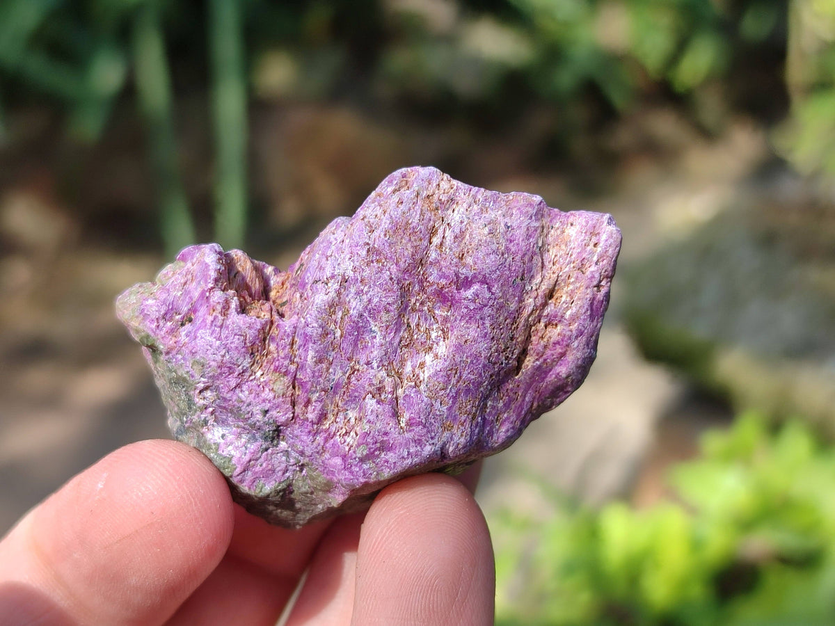 Natural Cobbed Stichtite Specimens x 1 Lot From Barberton, South Africa - Toprock Gemstones and Minerals 